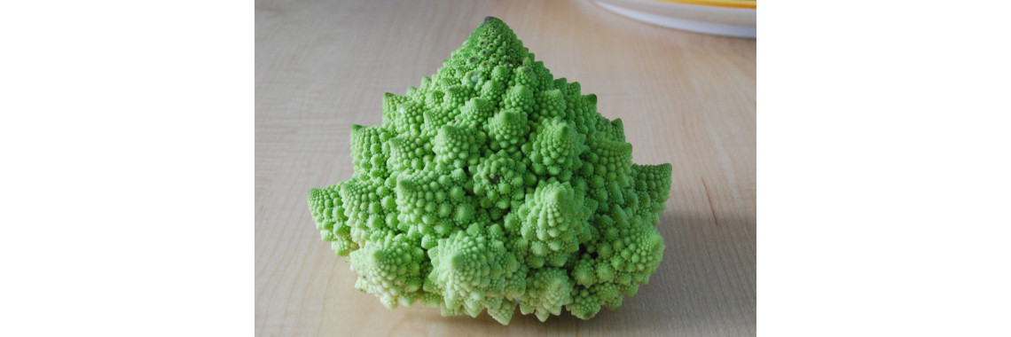 Small Copies of the Whole: Living With Fractal Self-Similarity in October 2026